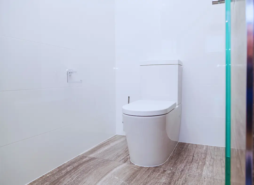 Remplacement de wc Bouchemaine